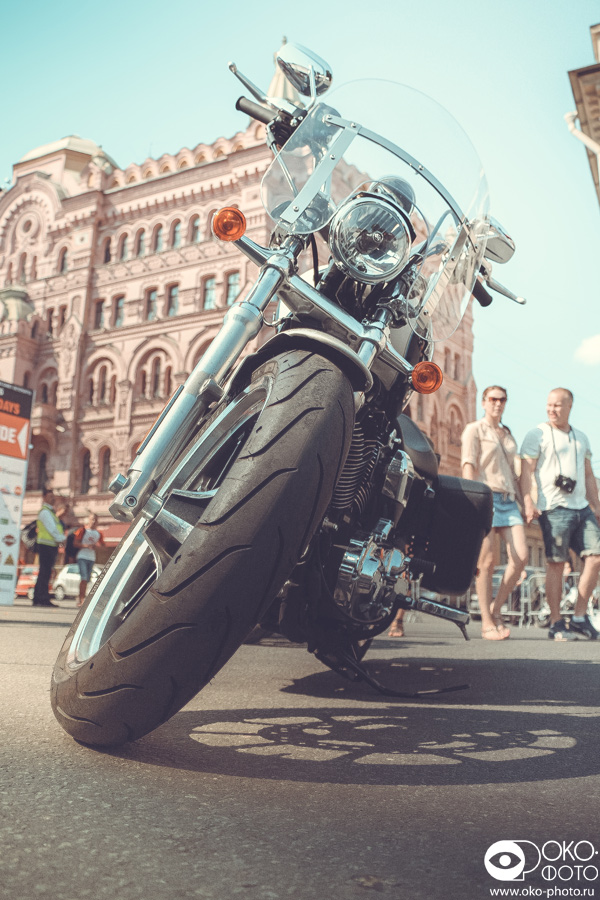 Перед нами — свежее пополнение легендарного семейства Sportster. ©&nbsp;Евгений Борисов / ОКО-Фото